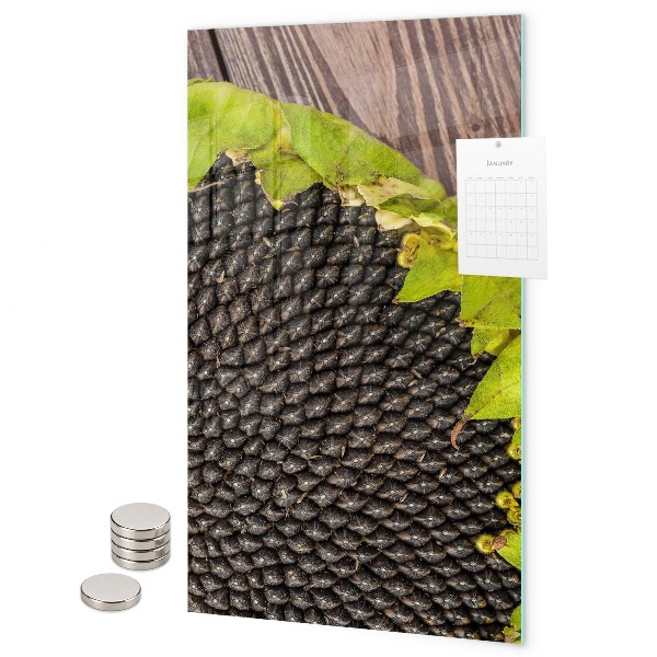 Memo board Sunflower seeds