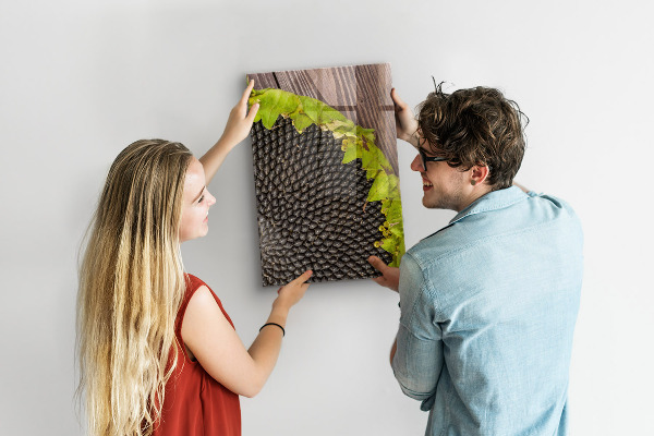 Memo board Sunflower seeds
