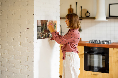 Magnetic spice board for holding spices