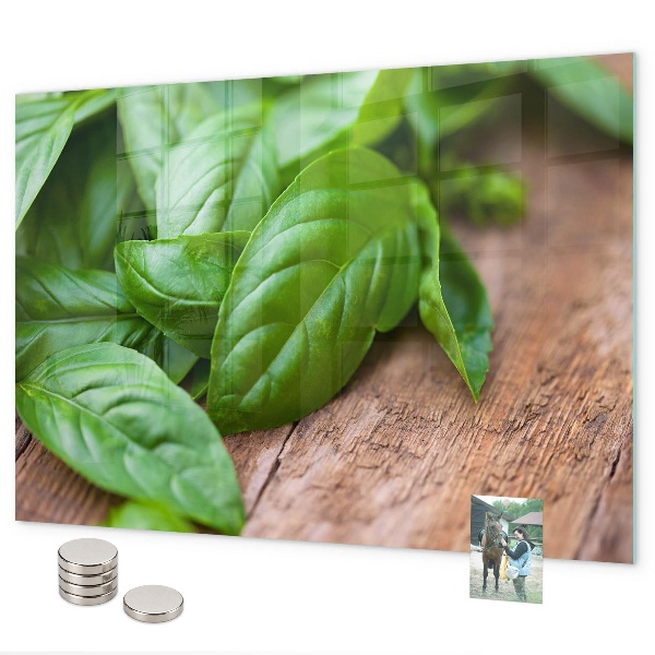 Basil leaves magnetic board