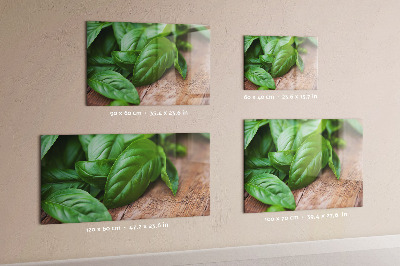 Basil leaves magnetic board