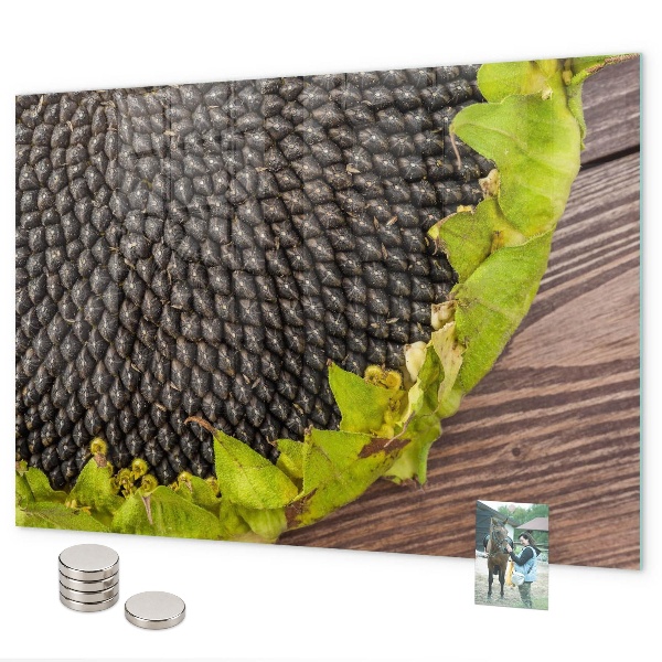 Magnetic board for wall sunflower motif
