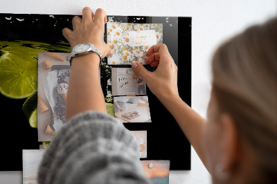Magnetic board for wall limes
