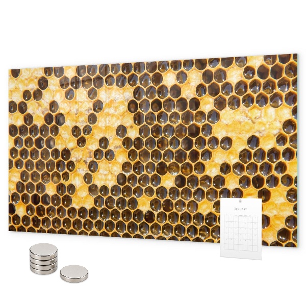 Magnetic wall board honeycomb design