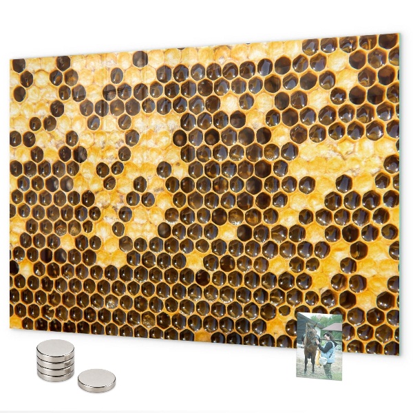Magnetic wall board honeycomb design