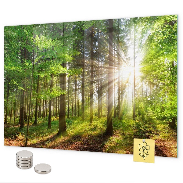 Magnetic board sunrise in the forest