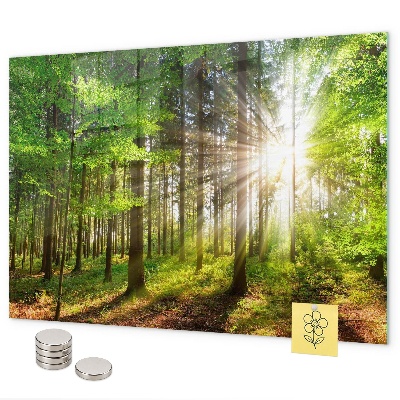 Magnetic board sunrise in the forest