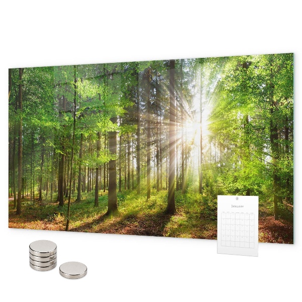 Magnetic board sunrise in the forest