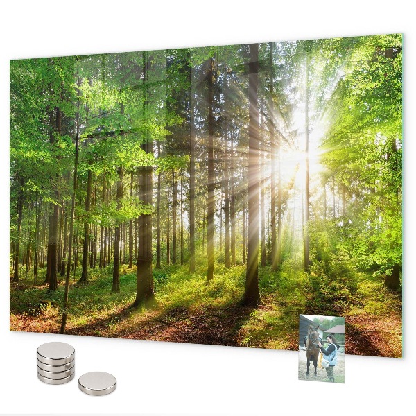 Magnetic board sunrise in the forest