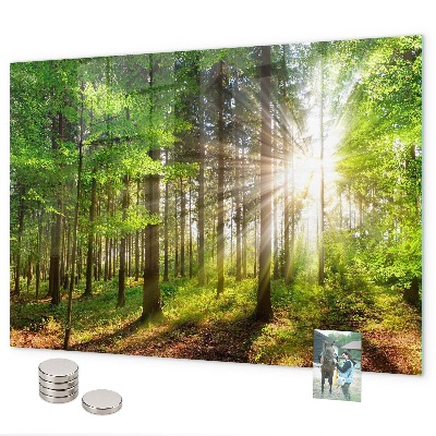 Magnetic board sunrise in the forest