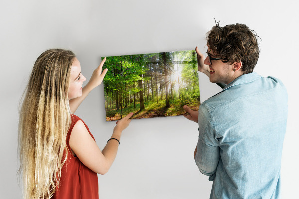 Magnetic board sunrise in the forest