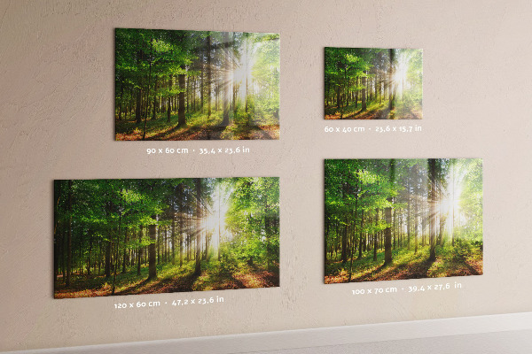 Magnetic board sunrise in the forest