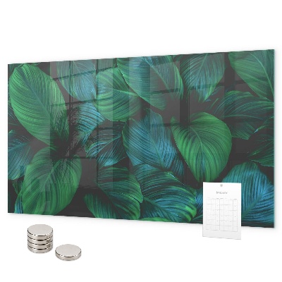 Magnetic board for wall leaves of nature design