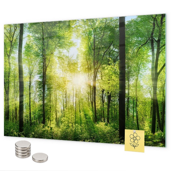 Magnetic wall board nature forest trees design