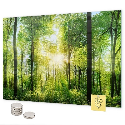 Magnetic wall board nature forest trees design