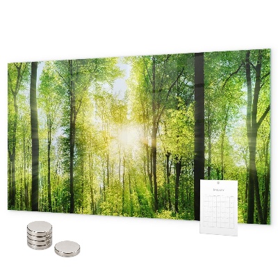 Magnetic wall board nature forest trees design