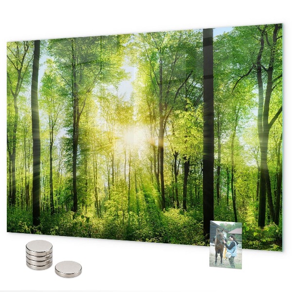 Magnetic wall board nature forest trees design