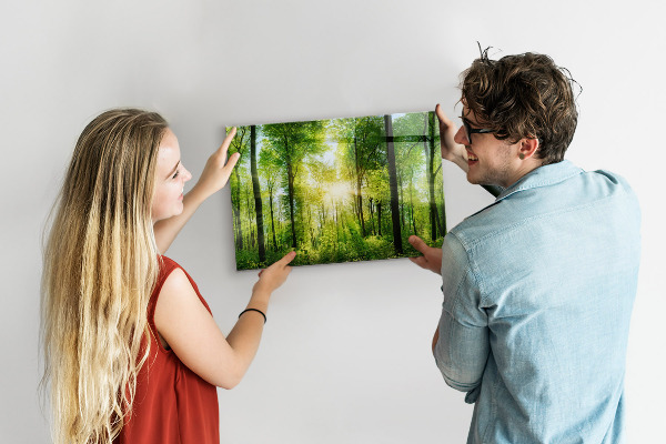 Magnetic wall board nature forest trees design
