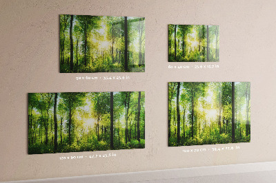 Magnetic wall board nature forest trees design