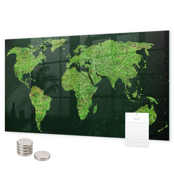 Magnetic world map grassy design for wall