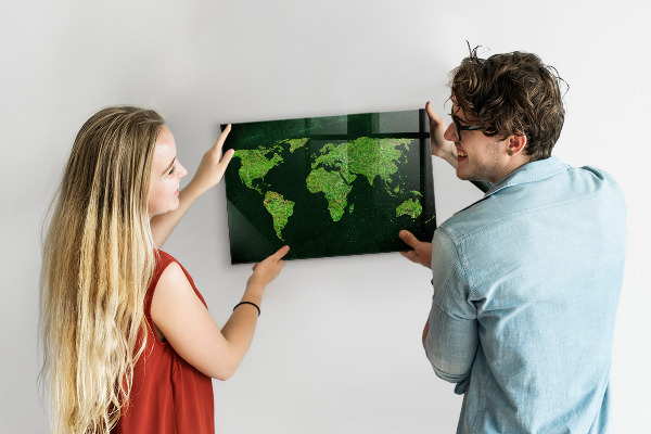 Magnetic world map grassy design for wall