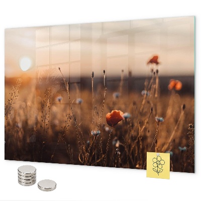 Magnetic board for wall sunrise in the field