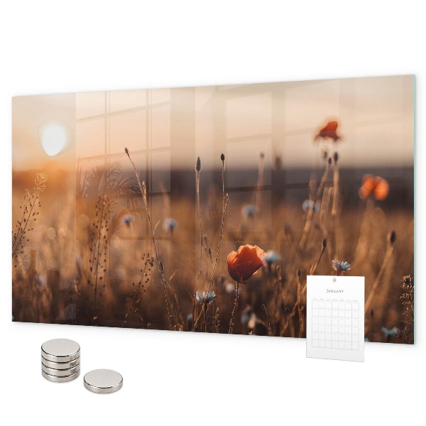 Magnetic board for wall sunrise in the field