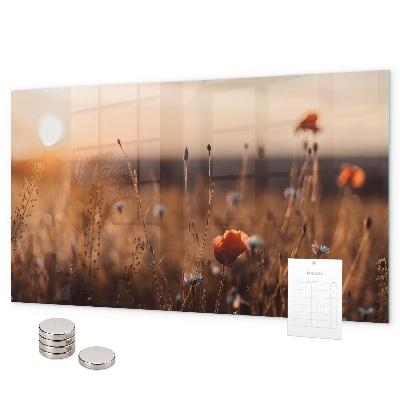 Magnetic board for wall sunrise in the field