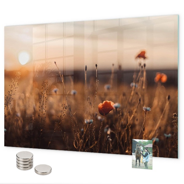 Magnetic board for wall sunrise in the field