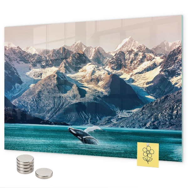 Magnetic wall board whale design