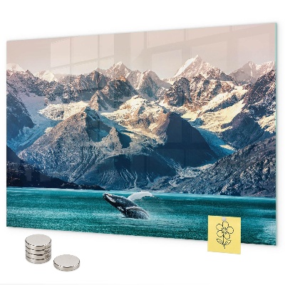 Magnetic wall board whale design