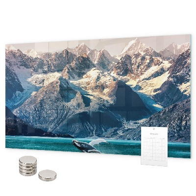 Magnetic wall board whale design
