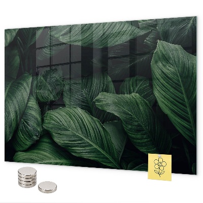 Magnetic wall board tropical monstera design