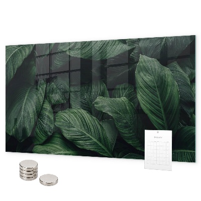 Magnetic wall board tropical monstera design
