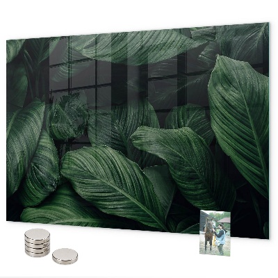 Magnetic wall board tropical monstera design
