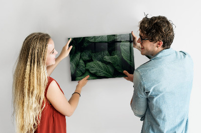 Magnetic wall board tropical monstera design