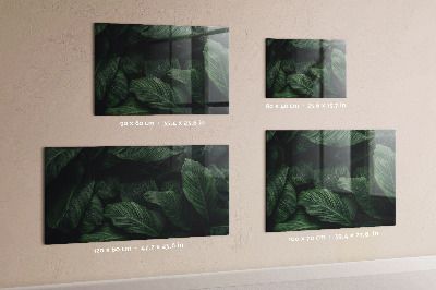 Magnetic wall board tropical monstera design