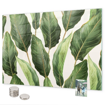Magnetic board for wall palm leaves pattern