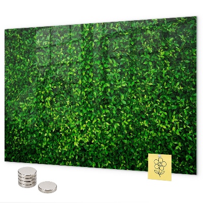 Magnetic board hedge leaves design
