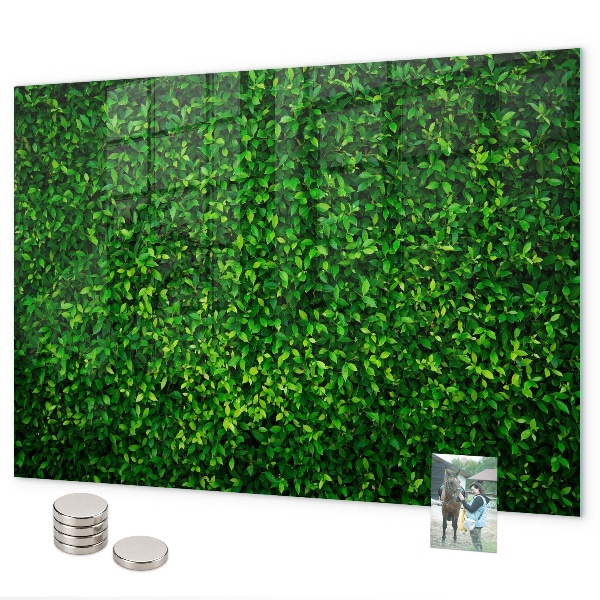 Magnetic board hedge leaves design