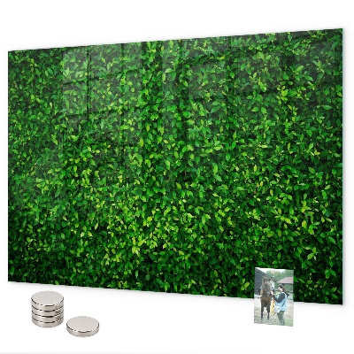 Magnetic board hedge leaves design