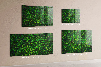 Magnetic board hedge leaves design