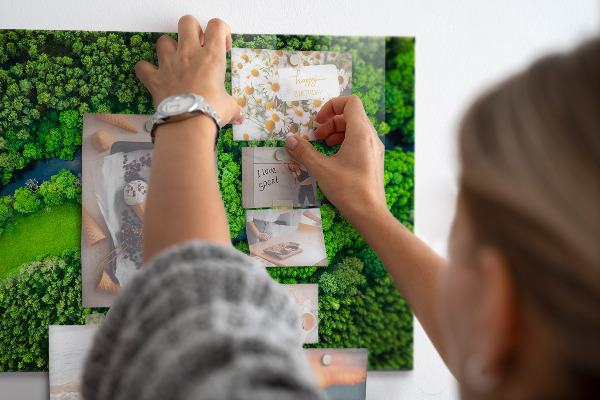 Magnetic board for wall featuring a river in the forest design