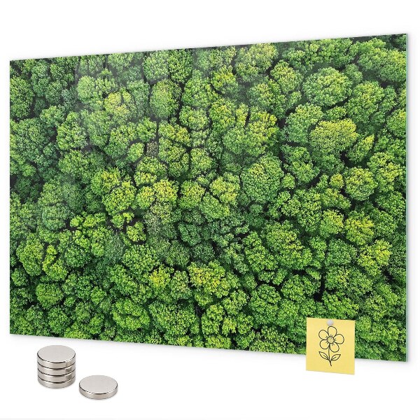 Magnetic board for wall forest from a bird's eye view