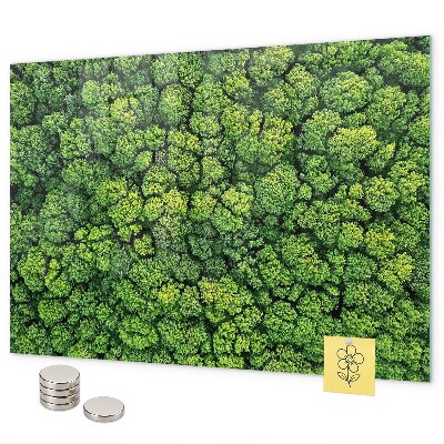 Magnetic board for wall forest from a bird's eye view