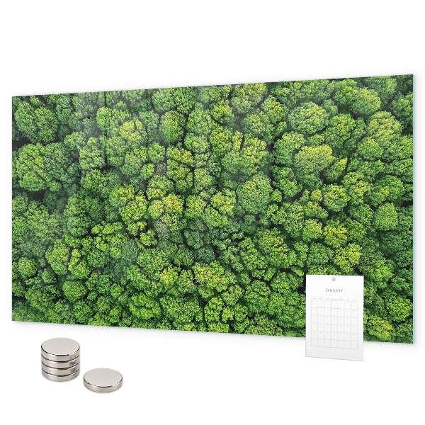 Magnetic board for wall forest from a bird's eye view