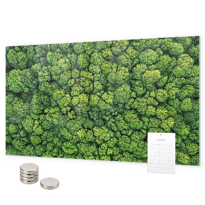 Magnetic board for wall forest from a bird's eye view
