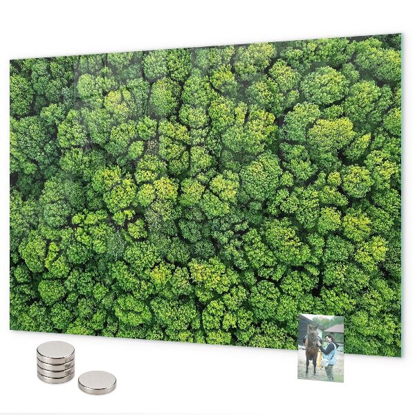 Magnetic board for wall forest from a bird's eye view