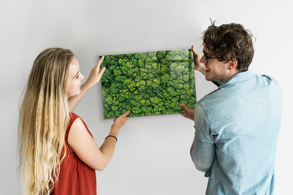 Magnetic board for wall forest from a bird's eye view
