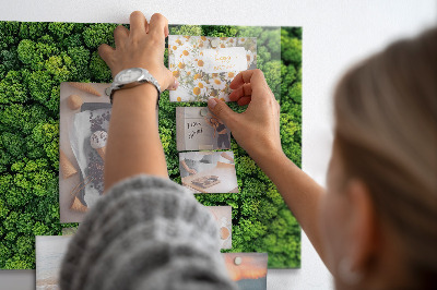Magnetic board for wall forest from a bird's eye view